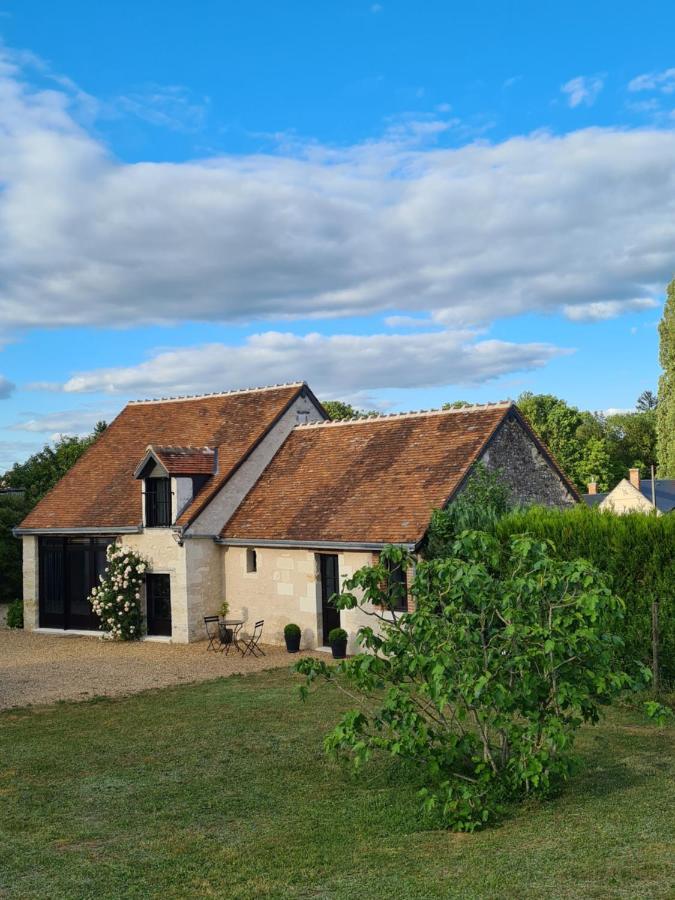 Le Pressoir De La Metairie Villa Francueil Dış mekan fotoğraf
